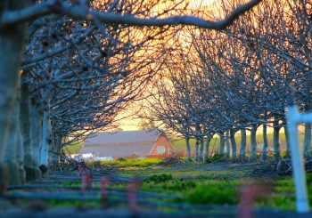 tumblr_n381k1R9Sh1st5lhmo1_1280